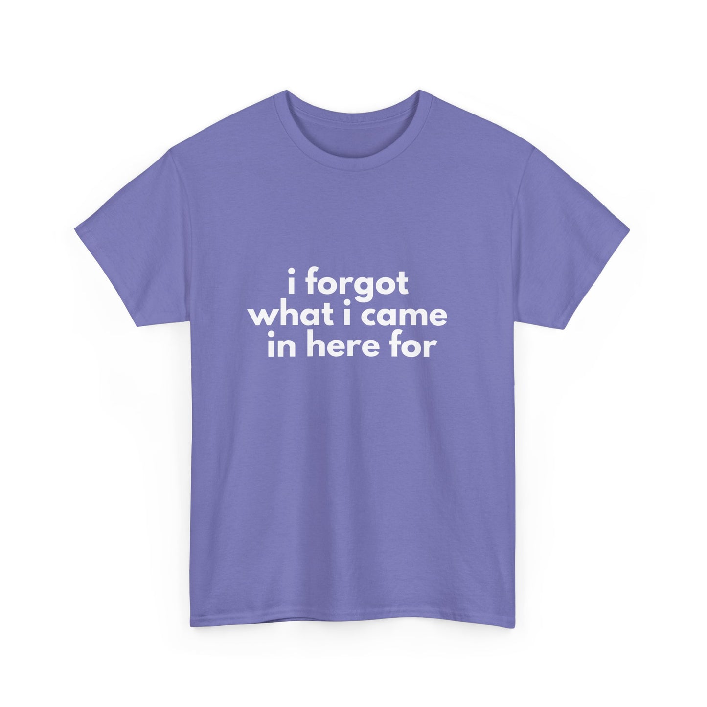 I Forgot What I Came In Here For Shirt