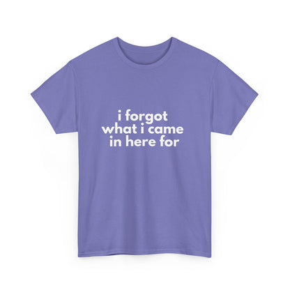 I Forgot What I Came In Here For Shirt