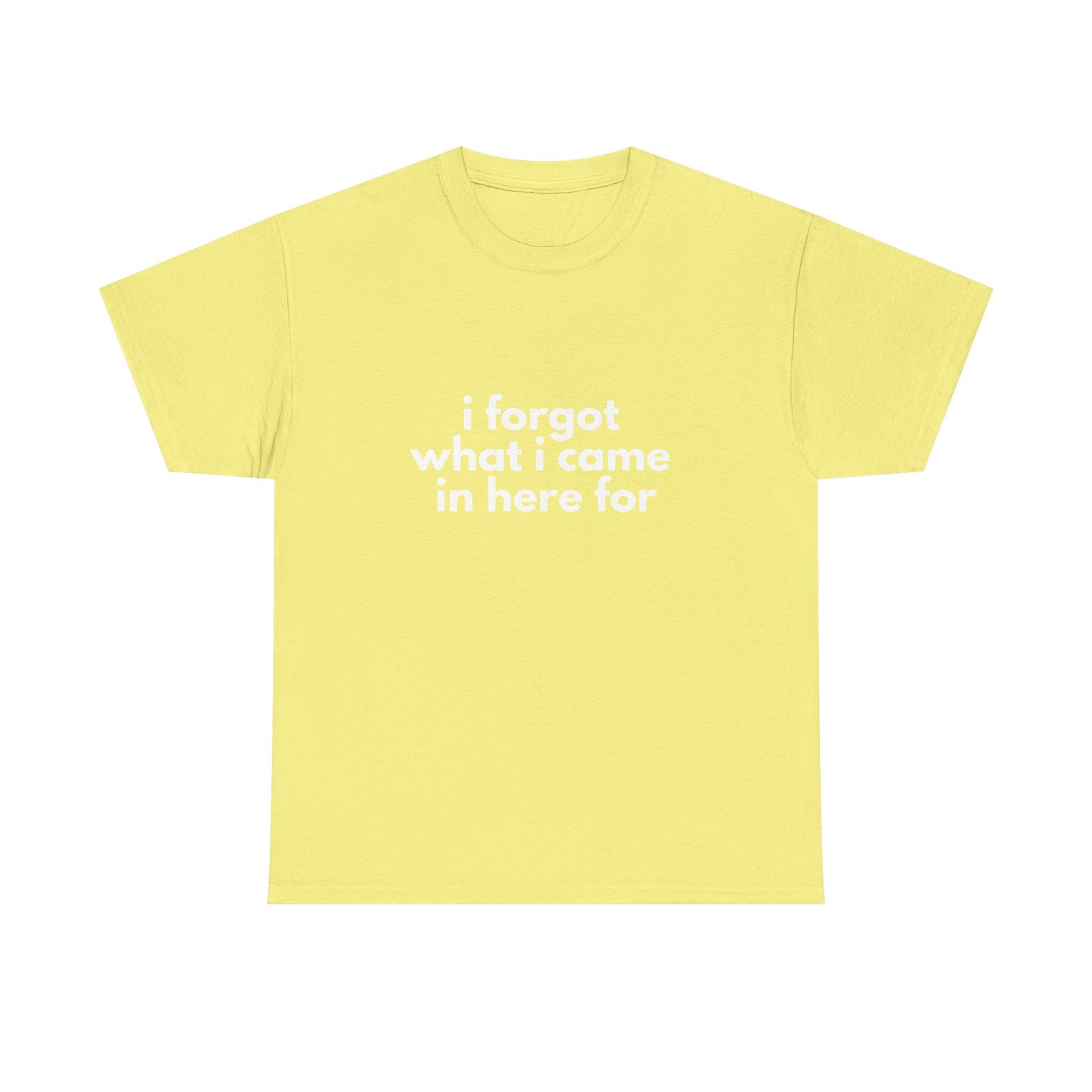 I Forgot What I Came In Here For Shirt