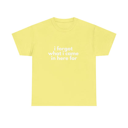 I Forgot What I Came In Here For Shirt