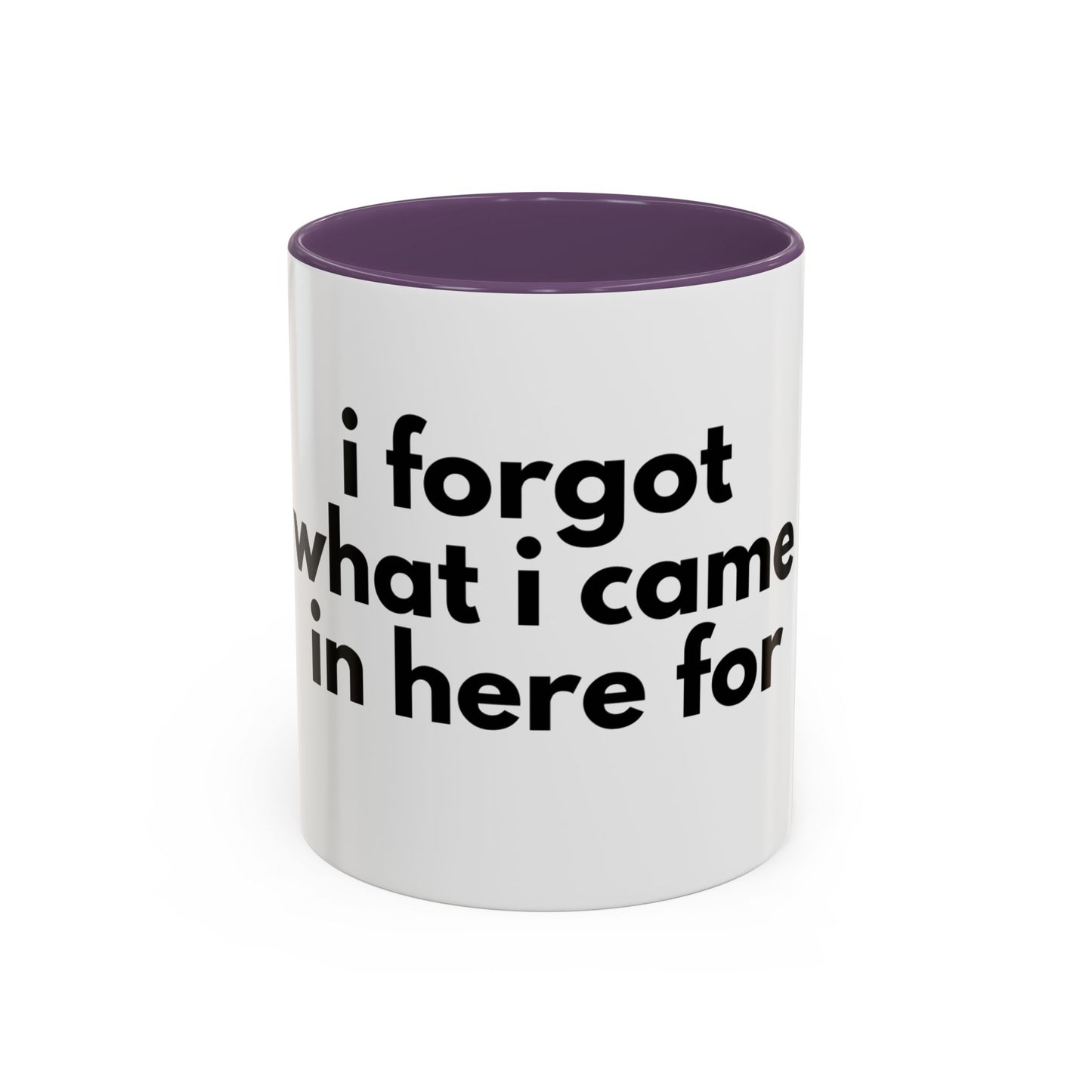 I Forgot What I Came In Here For Mug