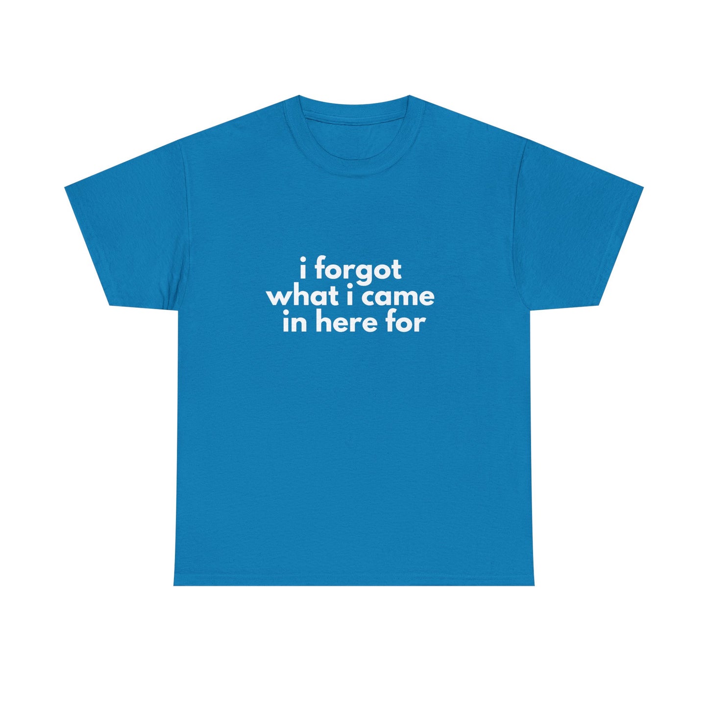 I Forgot What I Came In Here For Shirt