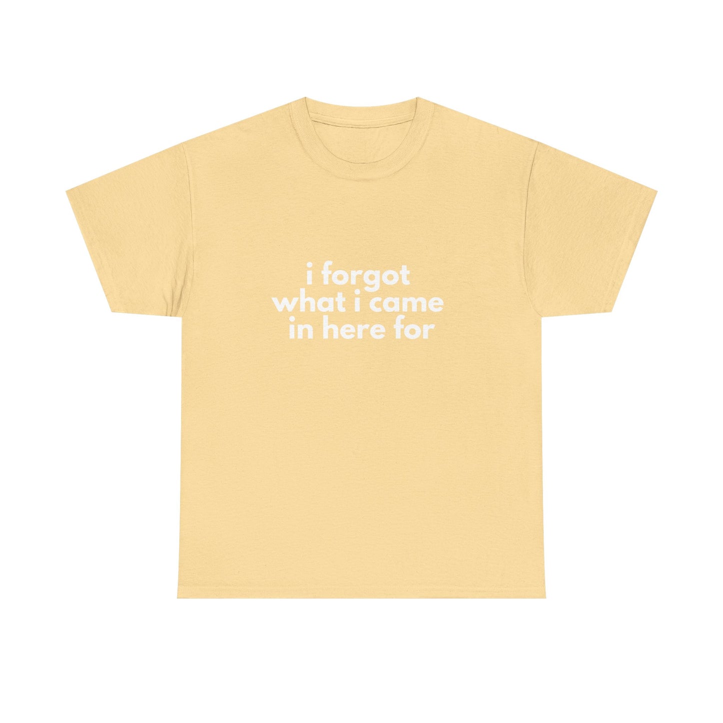 I Forgot What I Came In Here For Shirt