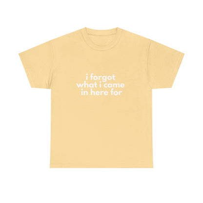 I Forgot What I Came In Here For Shirt