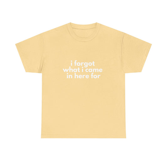 I Forgot What I Came In Here For Shirt
