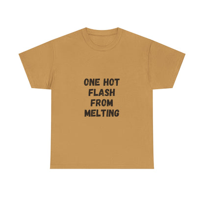 One Hot Flash From Melting T-Shirt